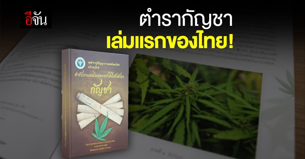 กรมการแพทย์แผนไทย เปิดตัว ตำรากัญชา เล่มแรกของไทย!