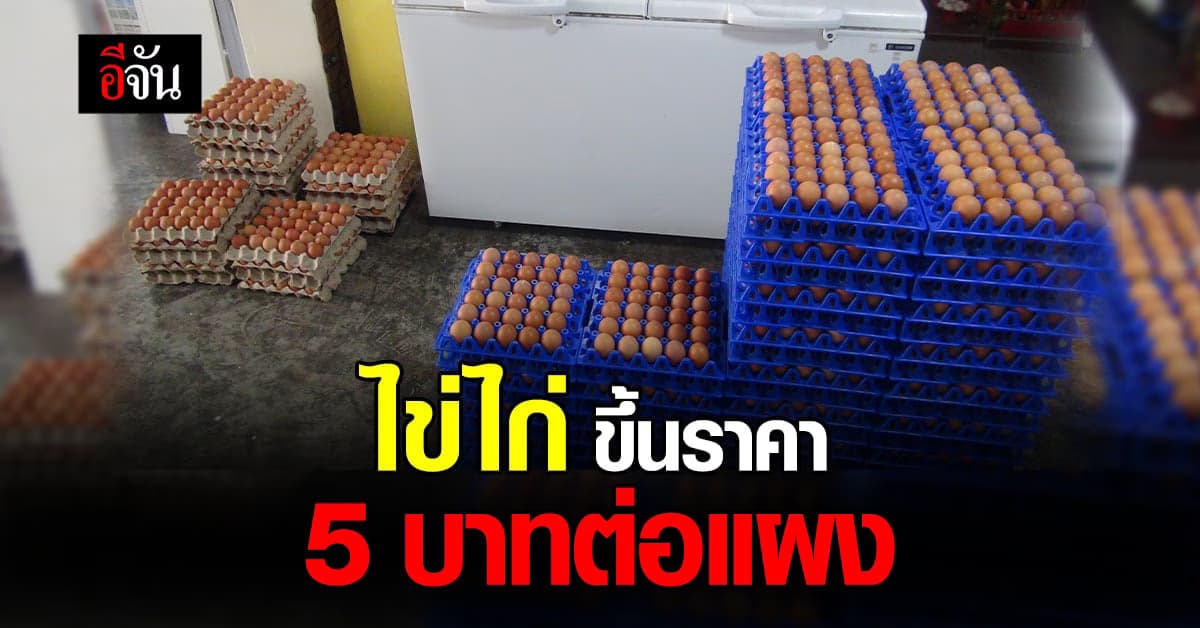 ยะลา ไข่ไก่ขึ้นราคา ต่อแผงละ 5 บาท มีแนวโน้มขึ้นอีก 6 บาท