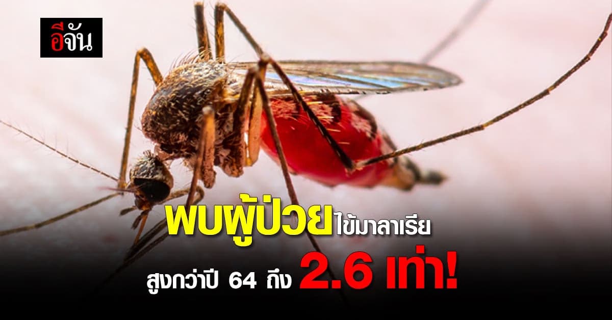 กรมควบคุมโรค เผย ผู้ป่วยโรค ไข้มาลาเรีย สูงกว่าปี64 ถึง 2.6 เท่า!