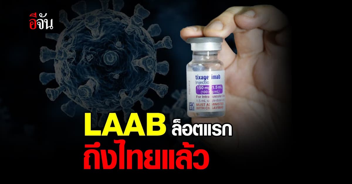 อนุทินเผย ภูมิคุ้มกัน LAAB 7 พันโดส ถึงไทย เริ่มนำร่องฉีดวันนี้วันแรก
