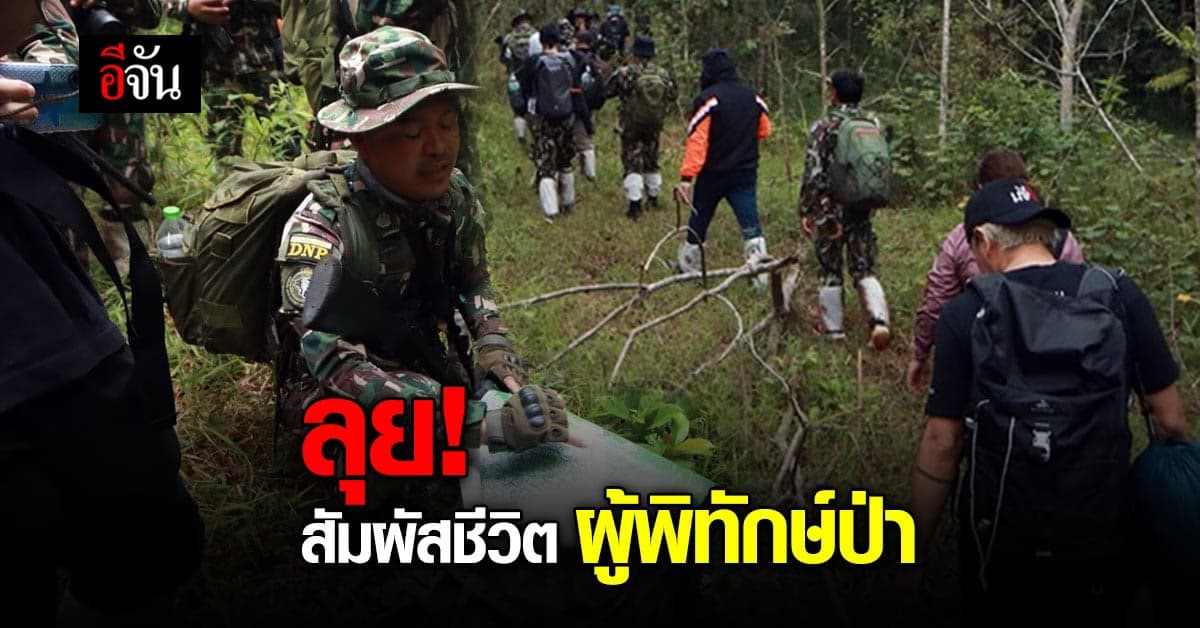 เดินตะลุย เส้นทางธรรมชาติ เขาใหญ่ สำรวจชีวิตผู้พิทักษ์ป่า