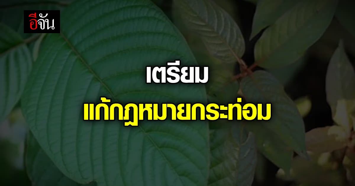 รัฐบาล รับข้อสังเกตจากสภา ปรับกม. กระท่อม พร้อมเร่งขยายพันธุ์แจก