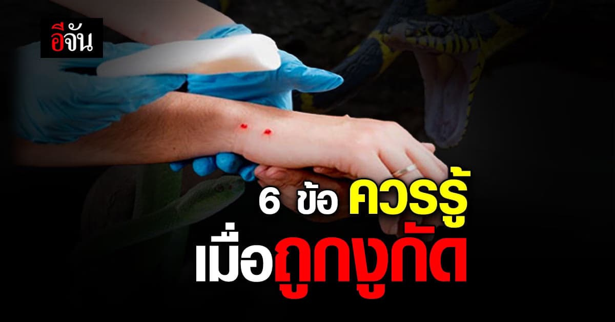 ข้อควรรู้และการปฏิบัติที่ดีเมื่อถูก งูกัด