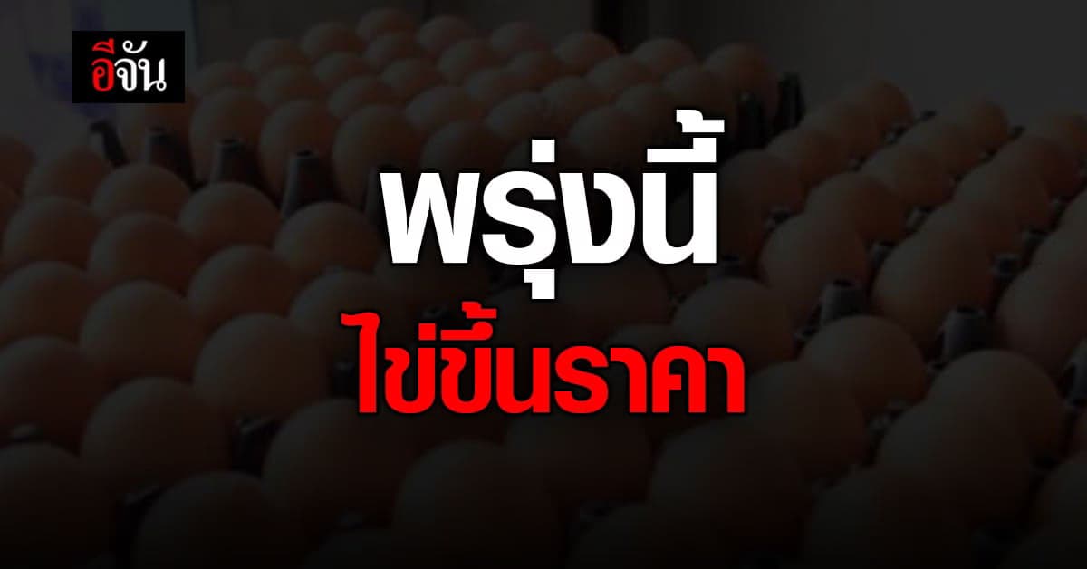 เครือข่ายสหกรณ์ผู้เลี้ยงไก่ไข่ แจ้งปรับขึ้น ราคาไข่ 10 สตางค์
