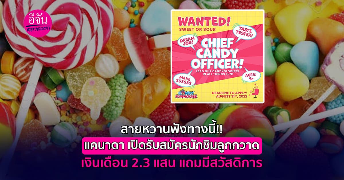 อาชีพแปลก แคนาดา เปิดรับสมัคร หัวหน้านักชิมลูกกวาด เงินเดือน 230,000+