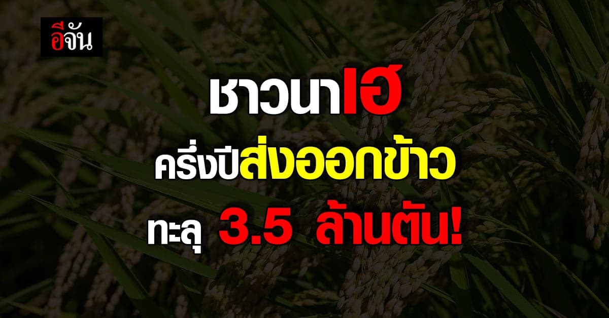 ชาวนาเฮ ครึ่งปี ส่งออกข้าวไทย ทะลุ 3.5 ล้านตัน!