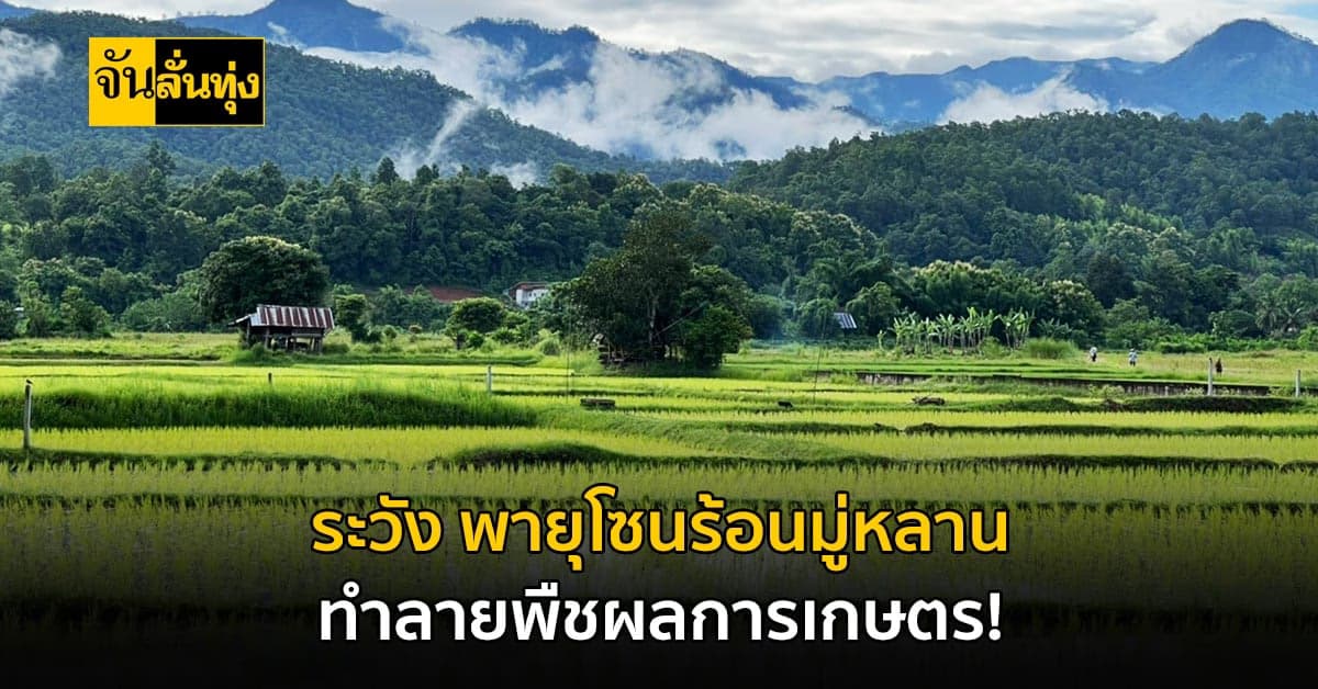 ฝนตกหนัก! เกษตรกรเตรียมรับมือผลกระทบ สัตว์เลี้ยง-พืชผล เสียหาย