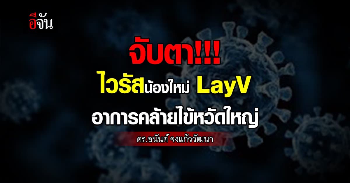 ไวรัสน้องใหม่ LayV พบติดเชื้อในประเทศจีน