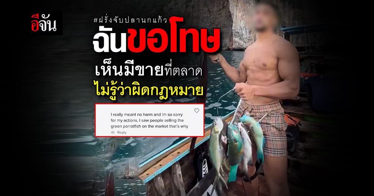 ฝรั่งจับปลานกแก้ว ขอโทษ ไม่มีใครบอกว่าผิดกฎหมาย