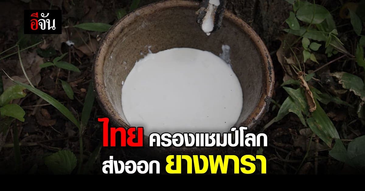 ไทยแชมป์โลกส่งออก ยางพารา บิ๊กตู่ ลั่น มั่นใจเสถียรภาพ ราคายาง