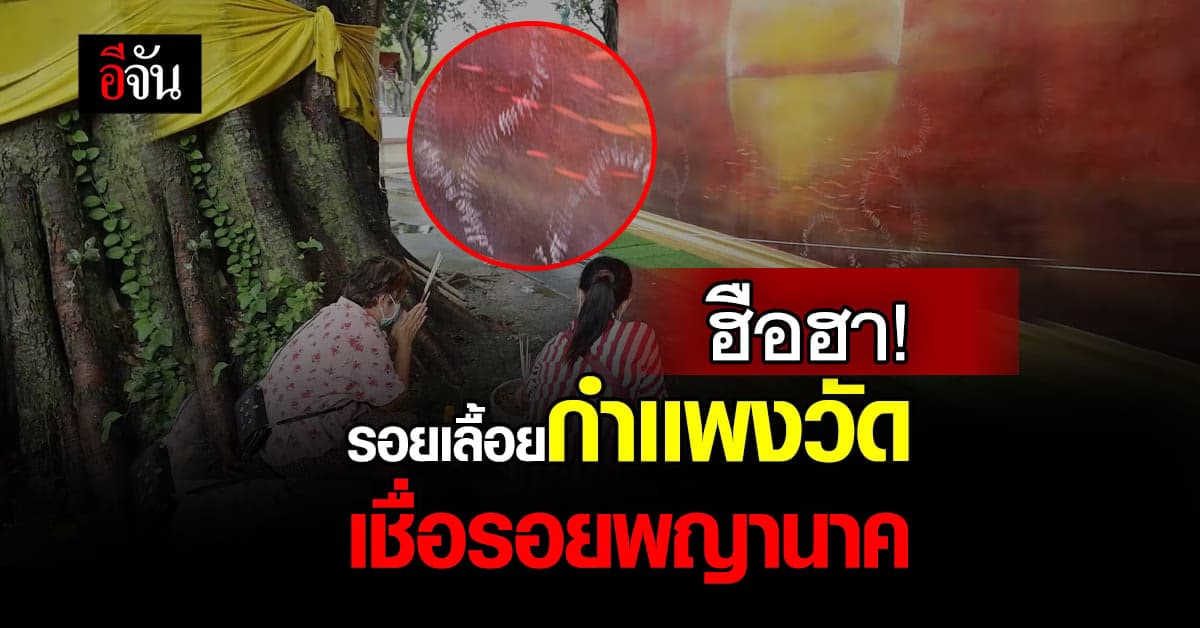 ฮือฮา! ชาวบ้านเเตกตื่น เจอรอยข้างกำเเพงวัด เชื่อรอยพญานาค