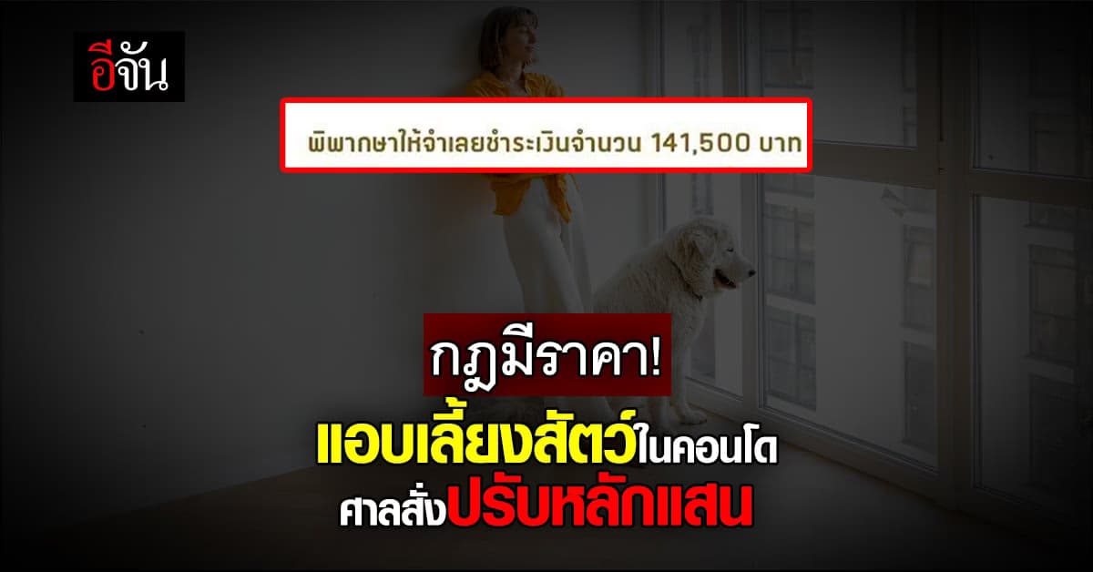 คอนโดแจ้งลูกบ้าน คดีฟ้องร้องแอบเลี้ยงสัตว์ในคอนโด ศาลสั่งปรับหลักแสน!