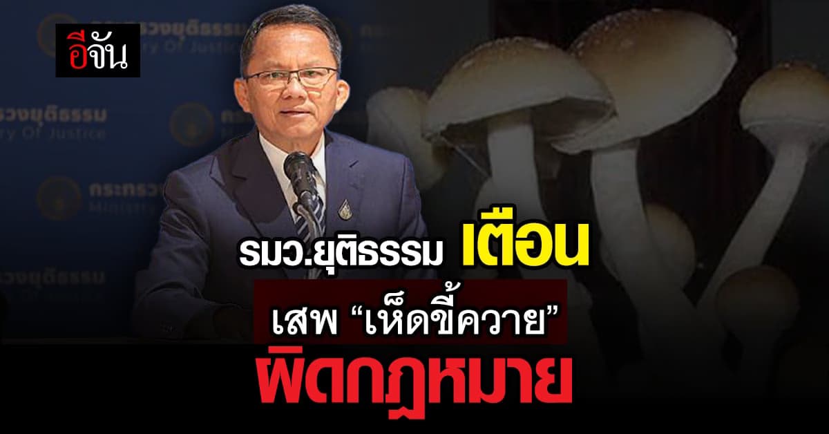 รมว.ยุติธรรม เผย เห็ดขี้ควาย ต้าน โรคซึมเศร้า แต่ยัง ผิดกฎหมาย