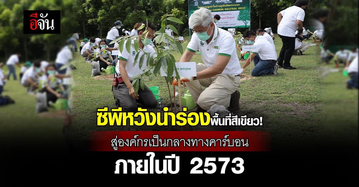 โครงการปลูกป่าในบ้าน เพิ่มพื้นที่สีเขียว ช่วยลดโลกร้อน