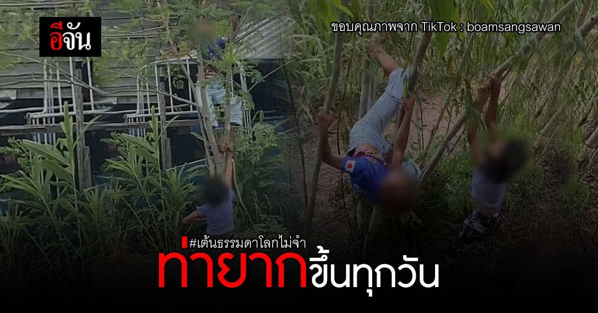 สกิลการเต้นหน้ารถแห่ ที่อัพท่ายากขึ้นทุกวัน เกาะต้นไม้เต้นไปเลย