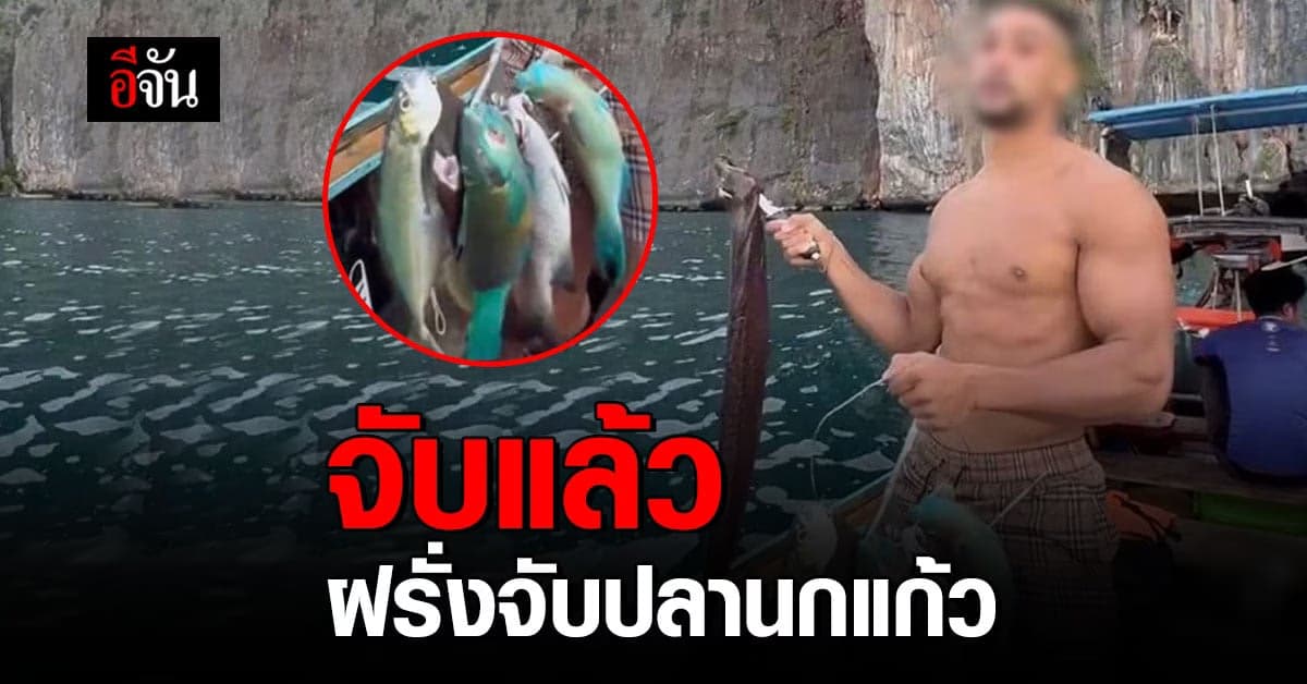 จับได้แล้ว ฝรั่ง จับ ปลานกแก้ว อ้างไม่รู้ เป็นพื้นที่อุทยาน