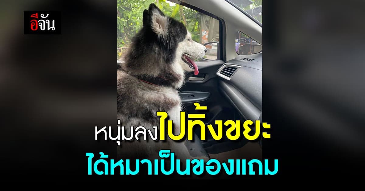 หนุ่มสุดงง? ลงไปทิ้งขยะ แต่ได้ไซบีเรียน มาเป็นของแถม