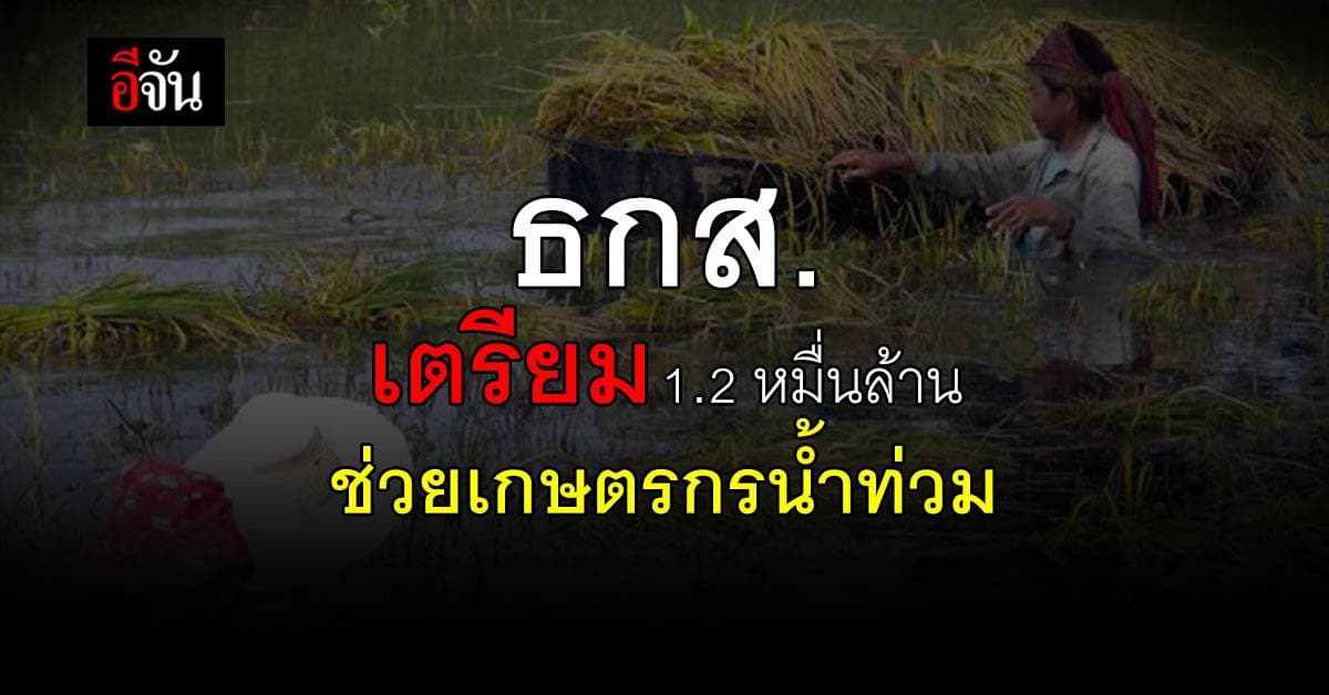 ธ.ก.ส. เร่งช่วย เกษตรกรประสบภัยน้ำท่วม เตรียมวงเงิน 1.2 หมื่นล้านบาท