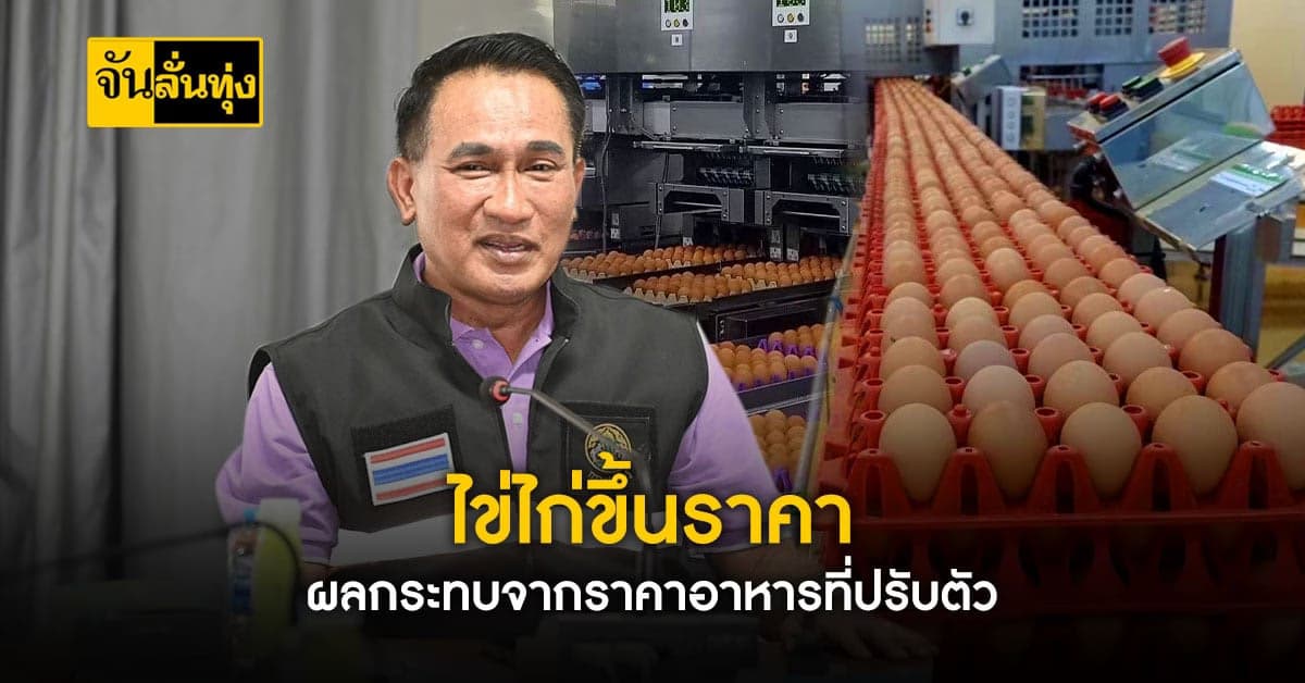 ไข่ไก่แพงสุดในรอบปี ผลกระทบจากราคาอาหารที่ปรับตัวรายวัน