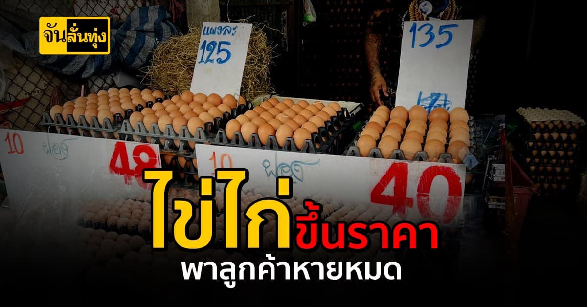 วิกฤตไข่ไก่ปรับราคา ลูกค้าหาย ร้านไข่ไก่คนเงียบ