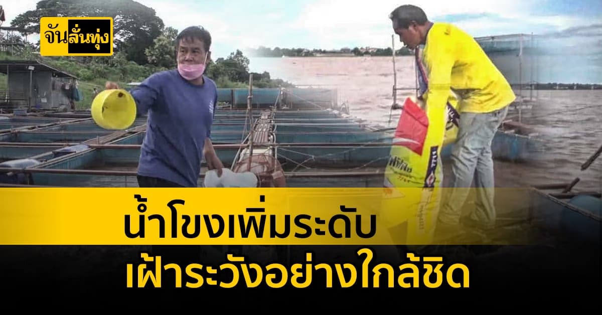 มัด กระชังปลา ให้แน่น! หลังระดับน้ำโขงเพิ่มสูงขึ้น