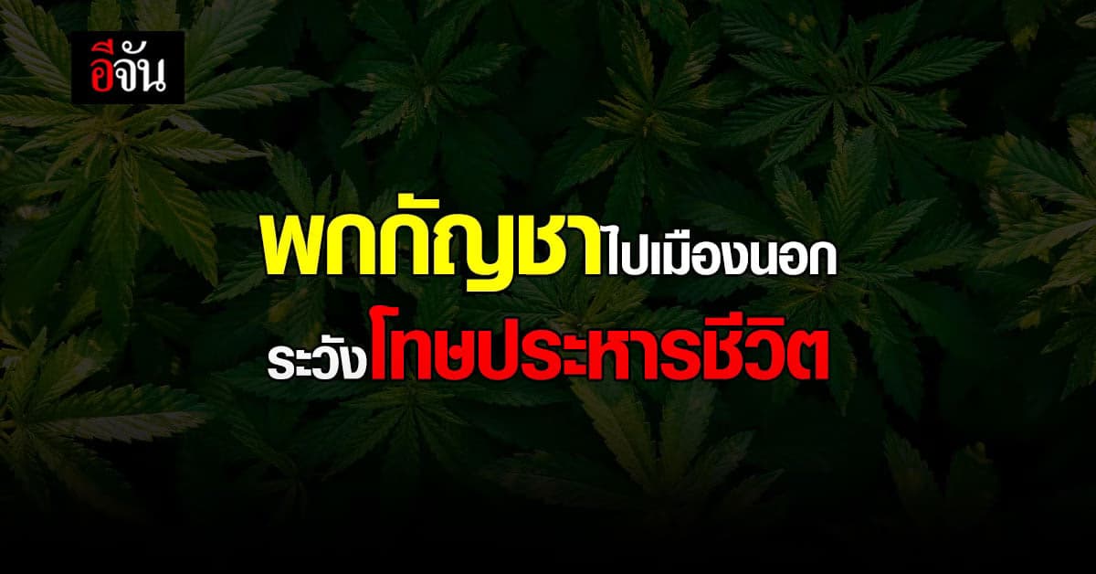รัฐบาล เตือน พกกัญชาไปเมืองนอก ระวังโทษประหารชีวิต