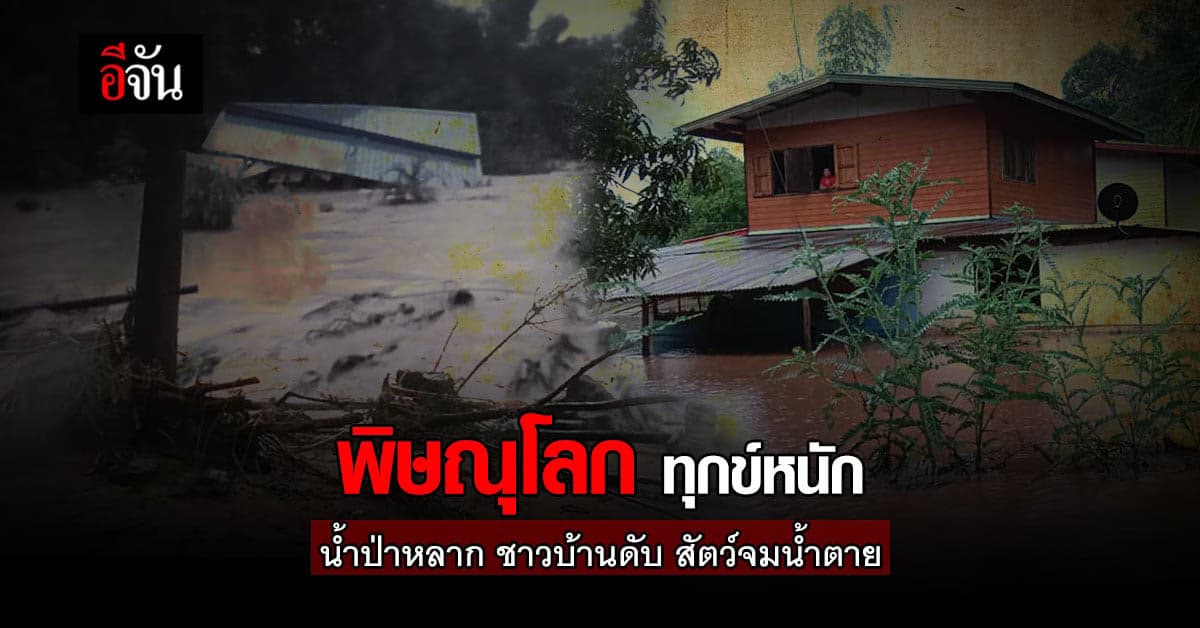 พิษณุโลกอ่วม น้ำป่าหลาก ท่วม 24 หมู่บ้าน ชาวบ้านดับ 2 ราย