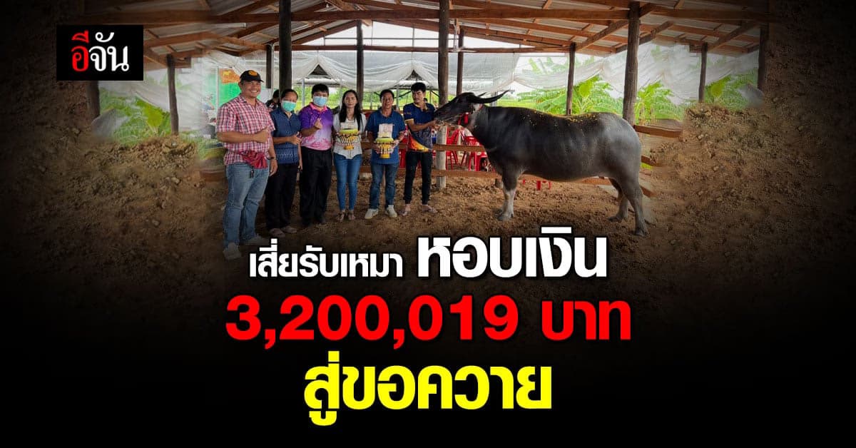 สินสอด 3 ล้าน สู่ขอควาย “แม่พิมพ์ญาดา”