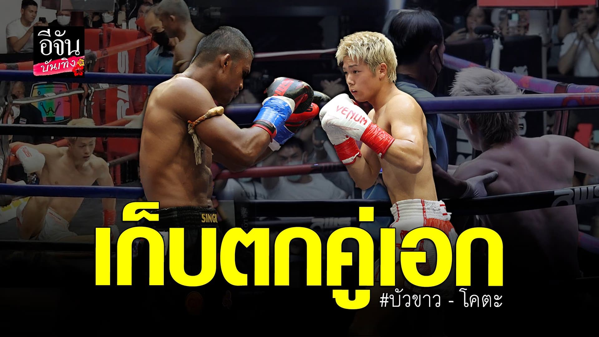 🎬 คลิปบันเทิง : เก็บตกช็อตเด็ด ศึกคู่พิเศษ บัวขาว ปะทะ โคตะ