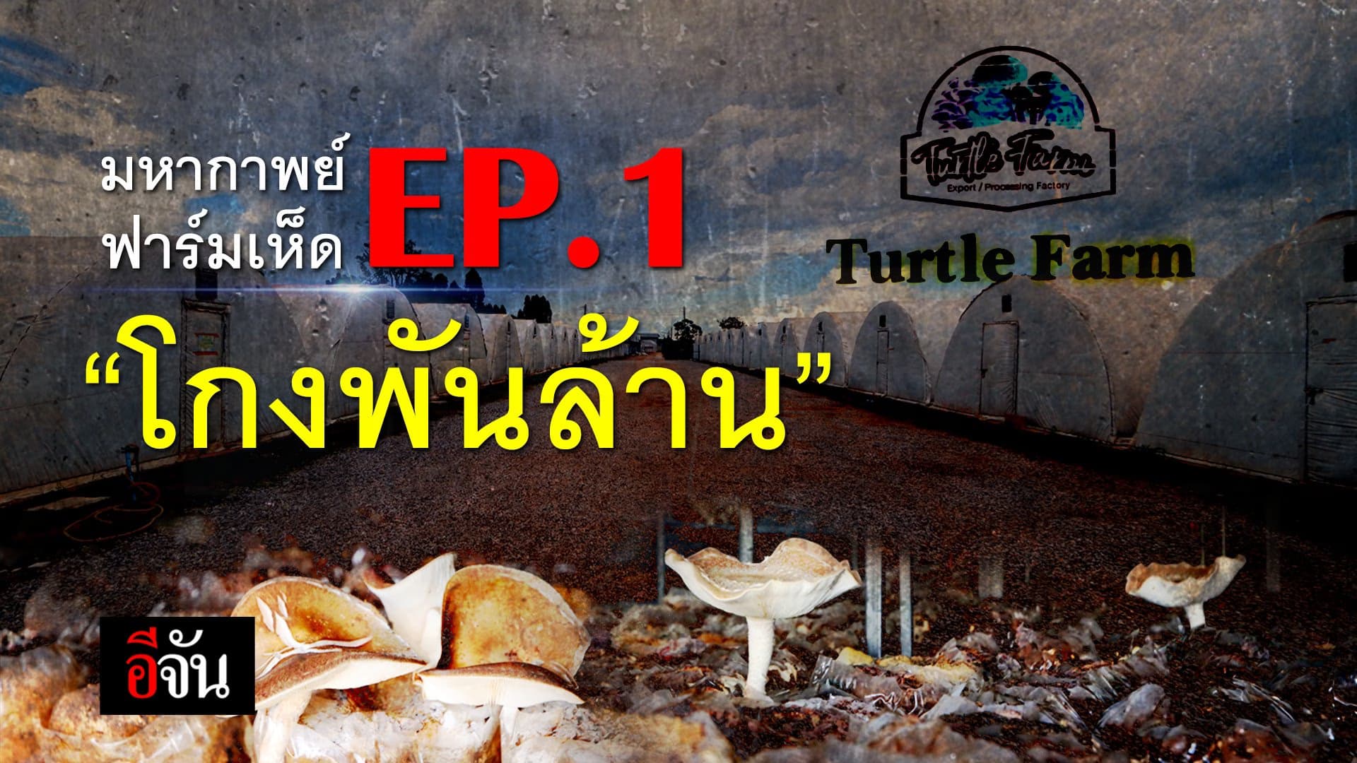 🎬 มหากาพย์ฟาร์มเห็ด EP.1 “โกงพันล้าน”