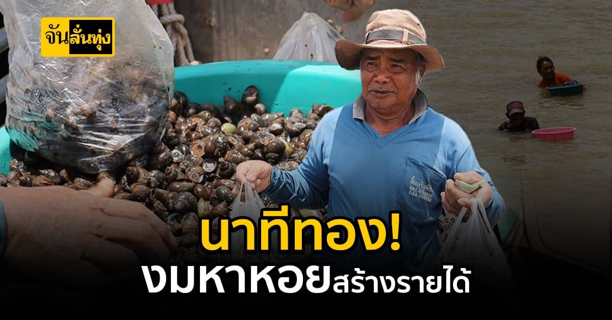 โอกาสทองมาแล้ว! ชาวบ้านงม จับหอย สร้างรายได้เสริม