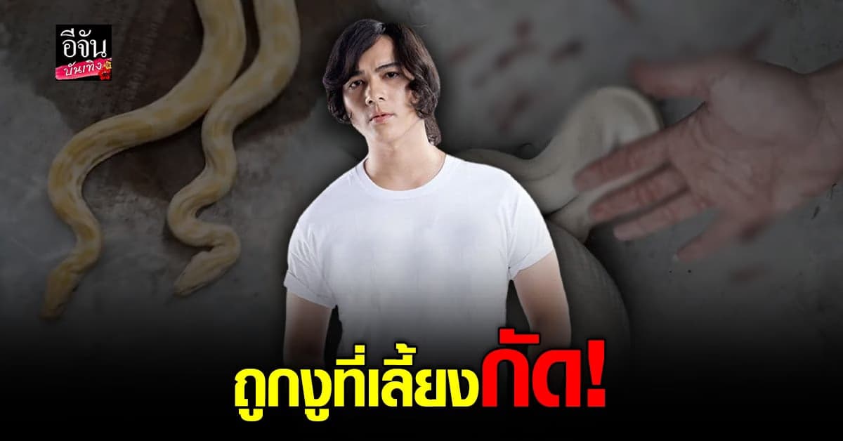 แน็ก ชาลี ถูกงูเหลือมเผือก ที่เลี้ยงไว้กัด