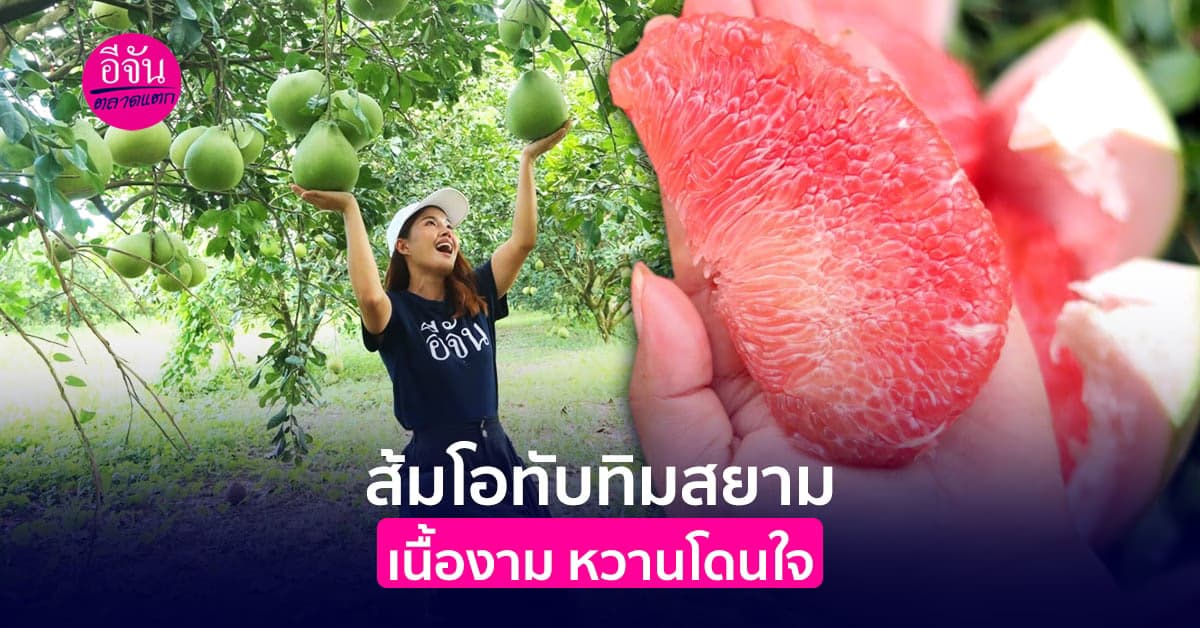 ส้มโอทับทิมสยาม เนื้องาม หวานโดนใจ