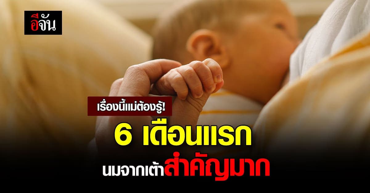 เเม่มือใหม่ต้องรู้ นมจากเต้าสำคัญ 6 เดือนเเรกห้ามพลาด