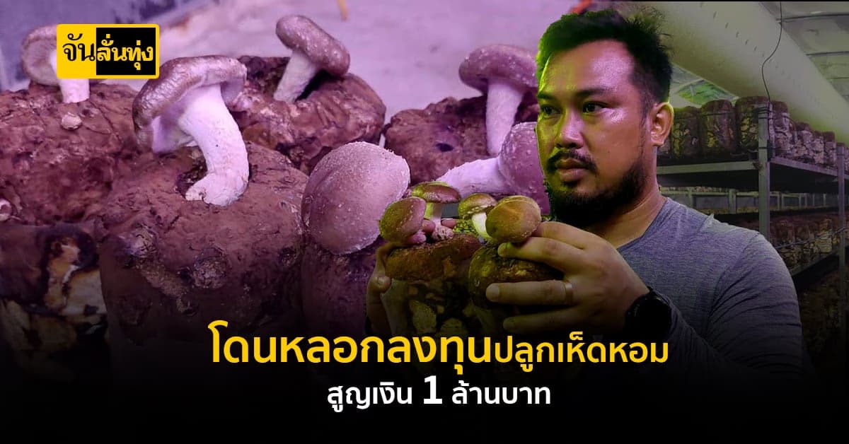 หลอกให้ตายใจ! สุดท้ายเป็นมิจฉาชีพ ลงทุน เห็ดหอม สูญเงิน 1 ล้านบาท