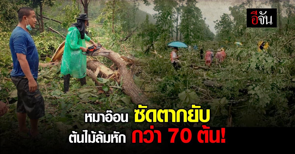 พายุโซนร้อน หมาอ๊อน ถล่มตาก ซัดต้นไม้หักปิดเส้นถนนกว่า 3 กิโลเมตร!