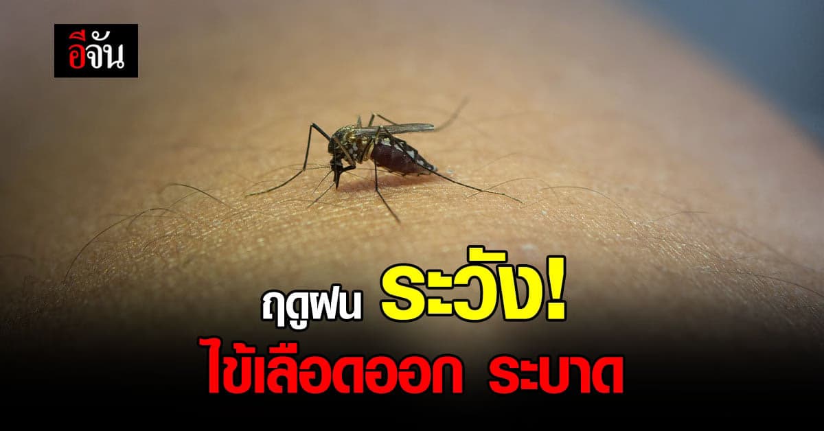 ฤดูฝน ระวัง! ไข้เลือดออกระบาด – กรมควบคุมโรค ชี้ยอดป่วยพุ่ง