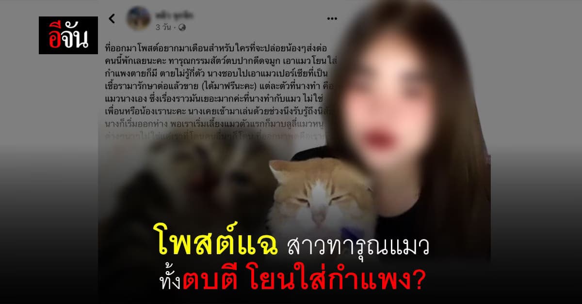 ปากบอก รักแมว แต่ทุบตีตายไปหลายตัวแล้ว รับไม่ได้ต้องออกมาแฉ!