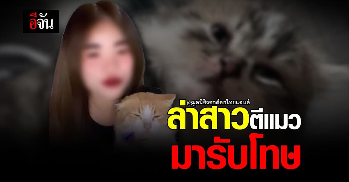 มูลนิธิวอชด็อก ประสาน ตำรวจ สภ.เมืองสกลนคร ล่าสาวตีแมวมารับโทษ