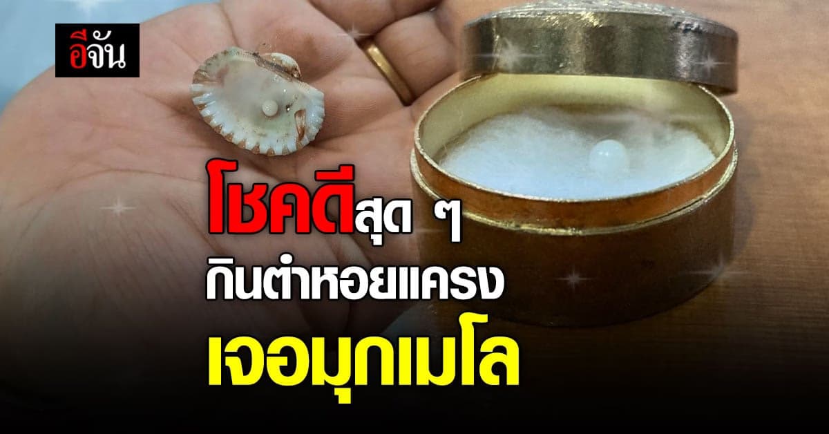 สองพี่น้องชาวระยองกินตำหอยแครงเจอมุกเมโล 2 เม็ด