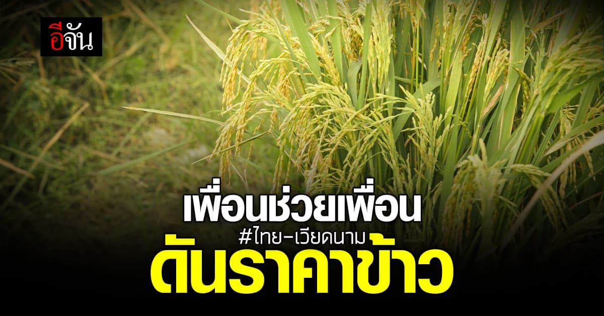 เพื่อนกันต้องช่วยกัน ไทย-เวียดนาม จับมือ ดันราคาข้าว เพื่อชาวนา