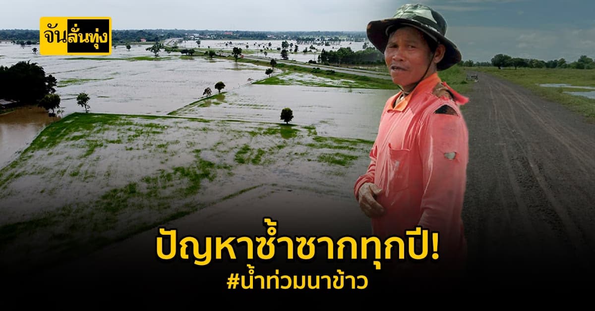 ทุกข์ซ้ำ! ชาวนาเจอ น้ำท่วมขัง ข้าวนานกว่า 3 สัปดาห์