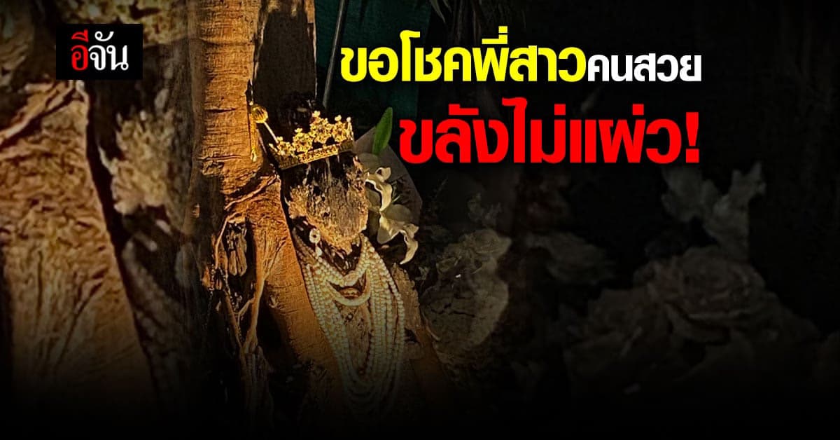 พี่สาวคนสวยความหวังของนักเสี่ยงโชค