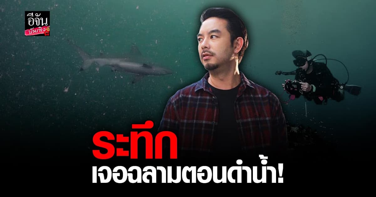 กวาง AB Normal ดำน้ำสุดระทึก เผชิญหน้า เจ้าฉลามเกเร