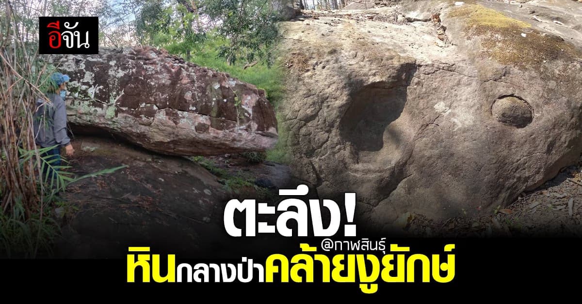 ชาวบ้านตะลึง! หินคล้ายงูยักษ์ โผล่กลางป่ากาฬสินธุ์