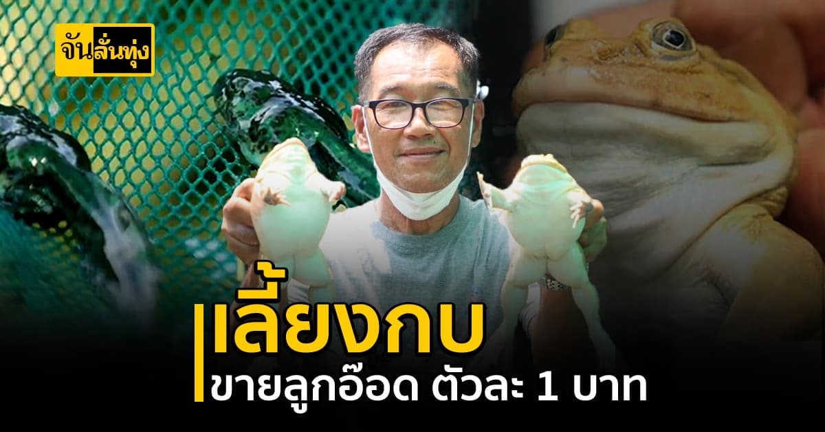 เพาะลูกอ๊อดขาย เกษตรทางเลือกสู่ทางรอดแบบใหม่ รายได้เสริมหลักหมื่น!