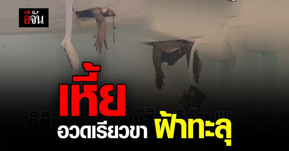 ตกใจหมดเลย เหี้ย ยื่นขาทะลุฝ้า