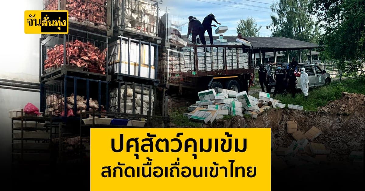 กรมปศุสัตว์ คุมเข้ม สกัดการนำเข้า ซากหมูเถื่อน!