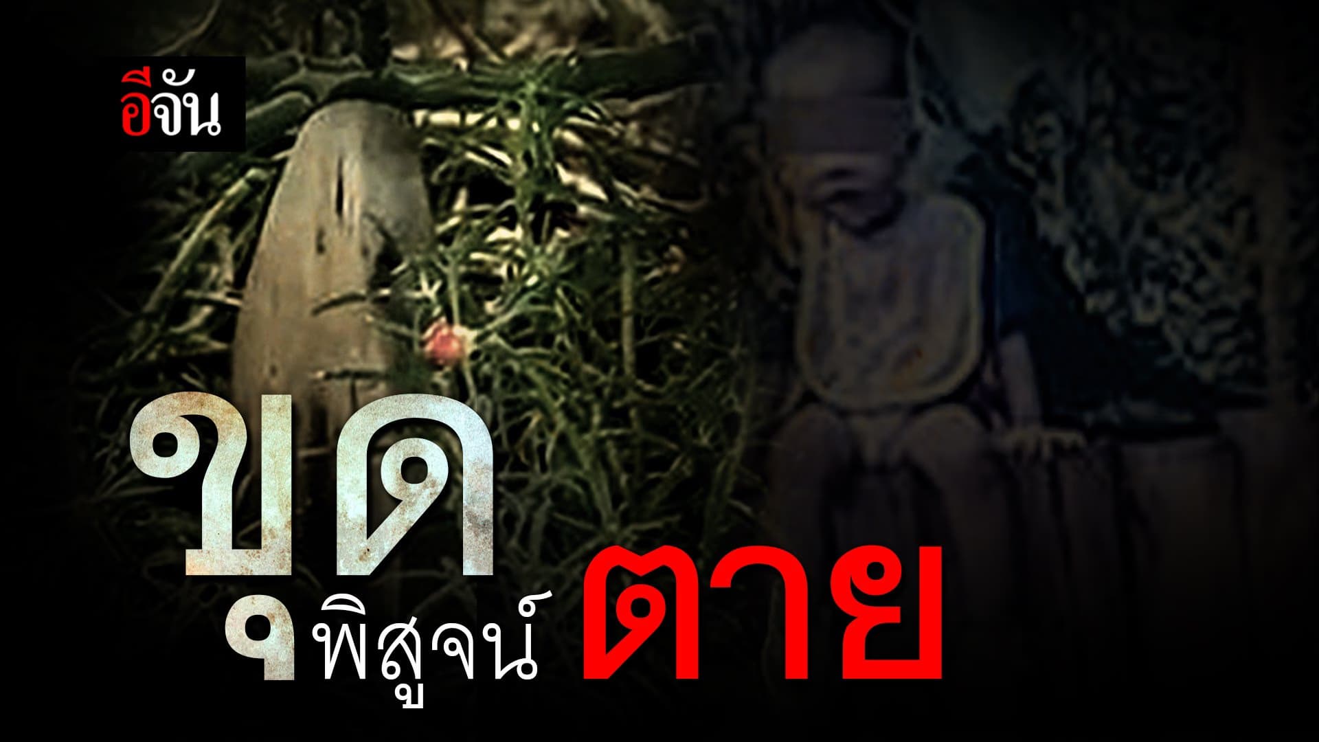 🎬 ขุด พิสูจน์ ตาย