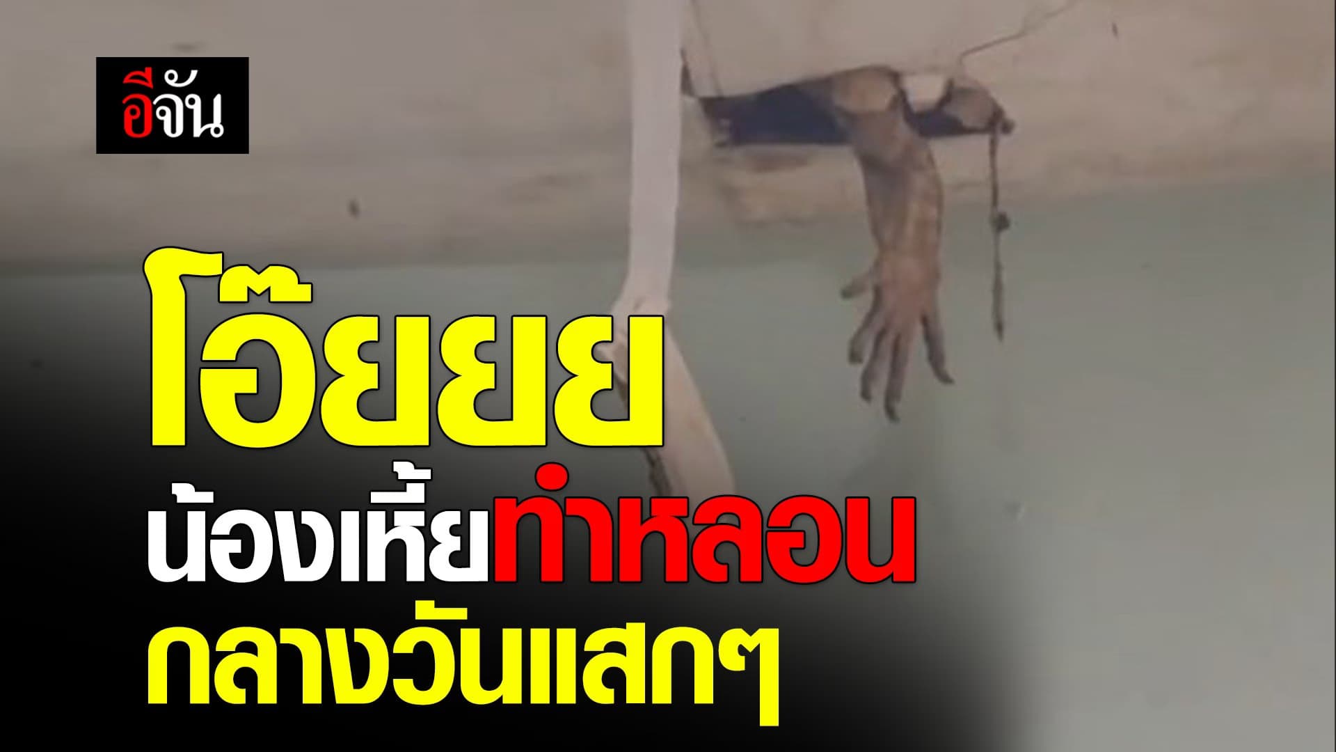 🎬 โอ๊ยยย น้อนเหี้ยทำหลอนกลางวันแสกๆ